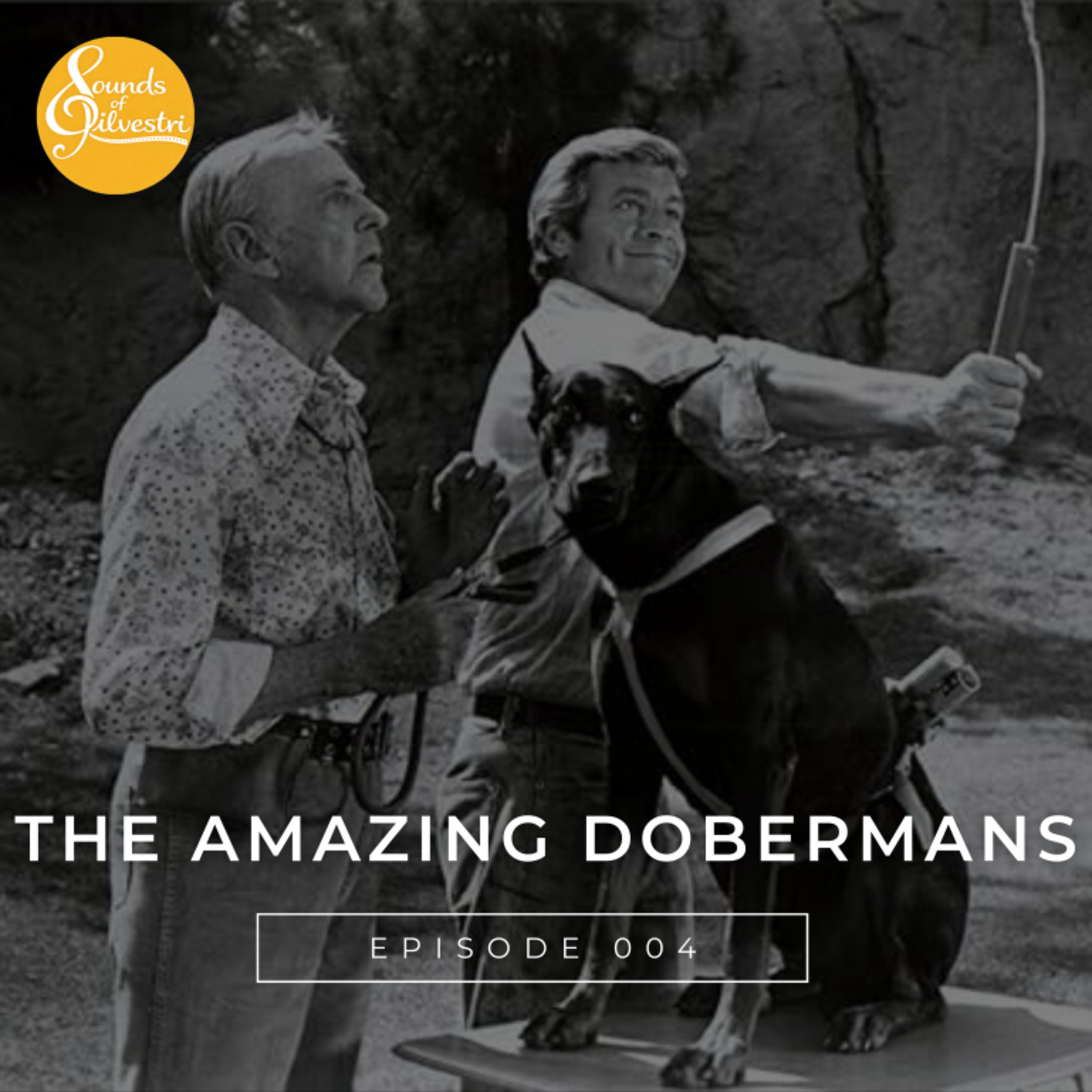 THE AMAZING DOBERMANS (1976) episode artwork