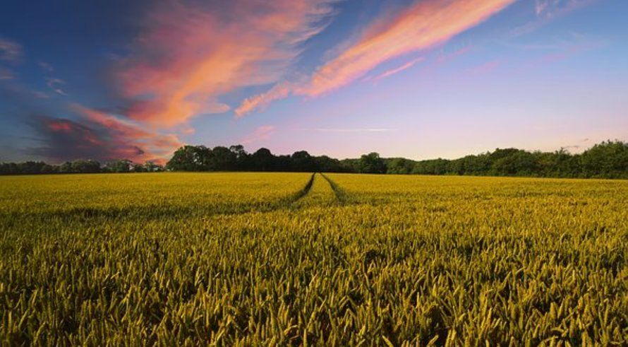 Scotland\'s Farm Advisory Service Podcast