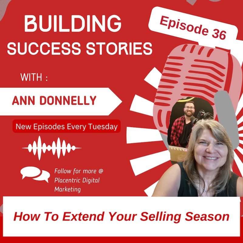 Artwork for podcast Building Success Stories with Ann Donnelly