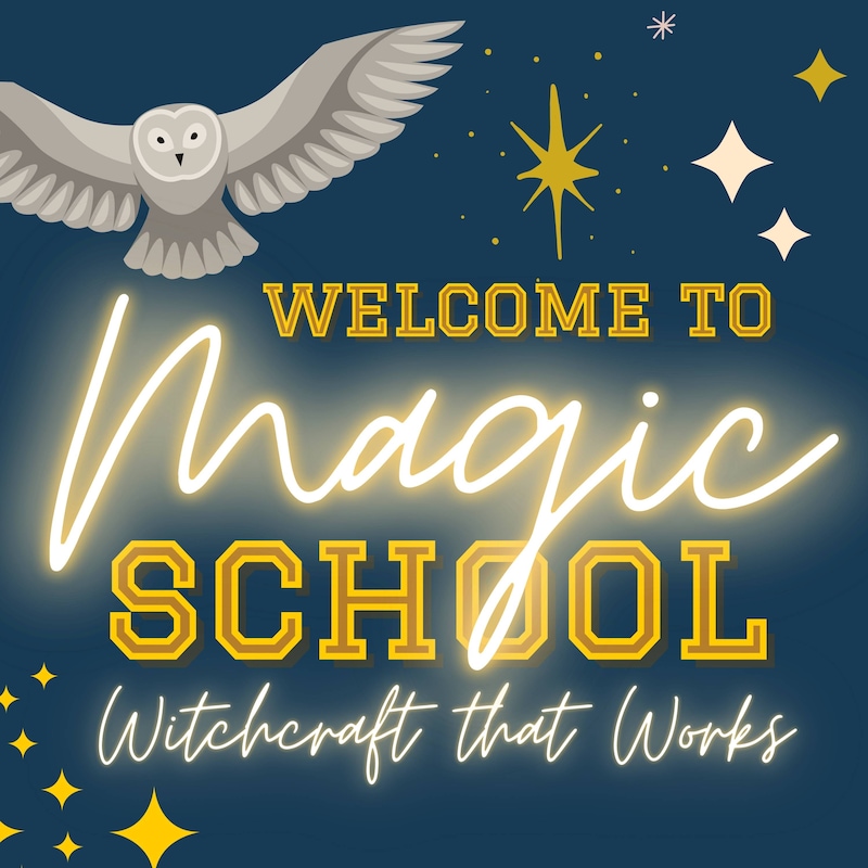 Artwork for podcast Welcome to Magic School
