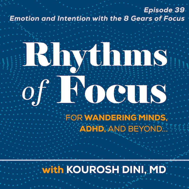 Artwork for podcast Rhythms of Focus