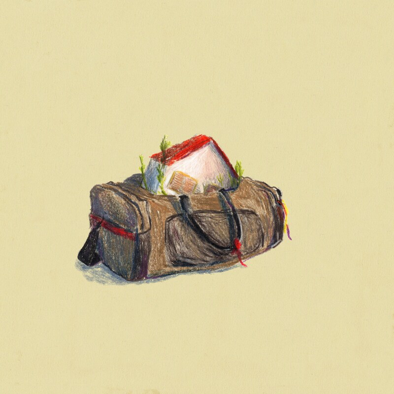 Artwork for podcast Faxina
