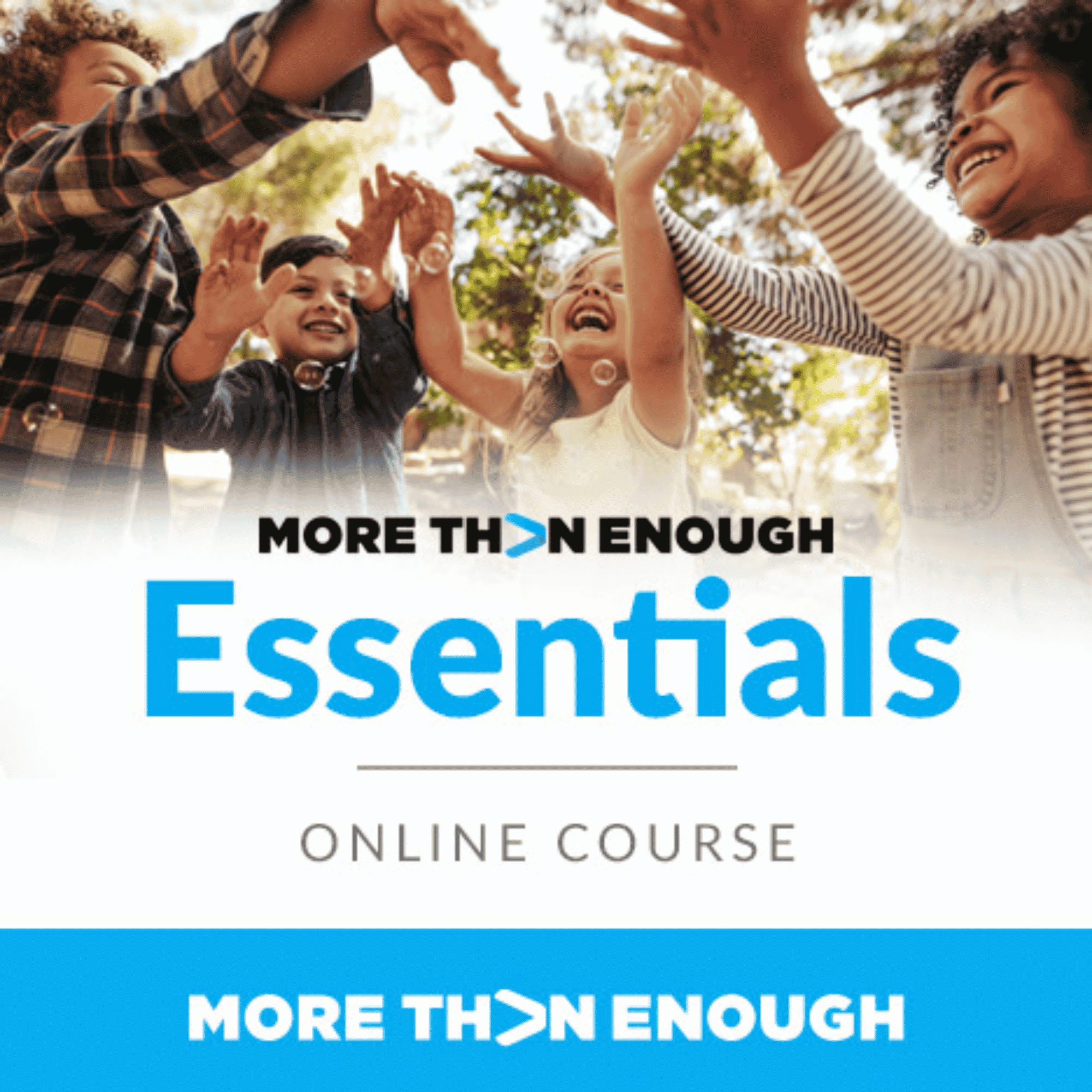 Artwork for More Than Enough Essentials