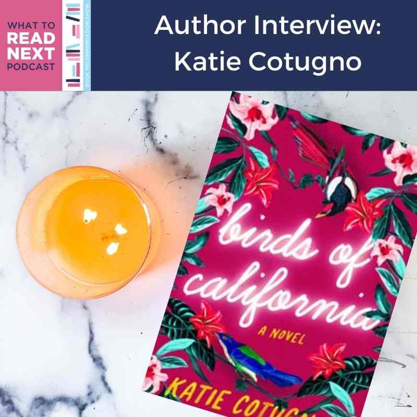 What to Read Next Podcast l Book Recommendation Show