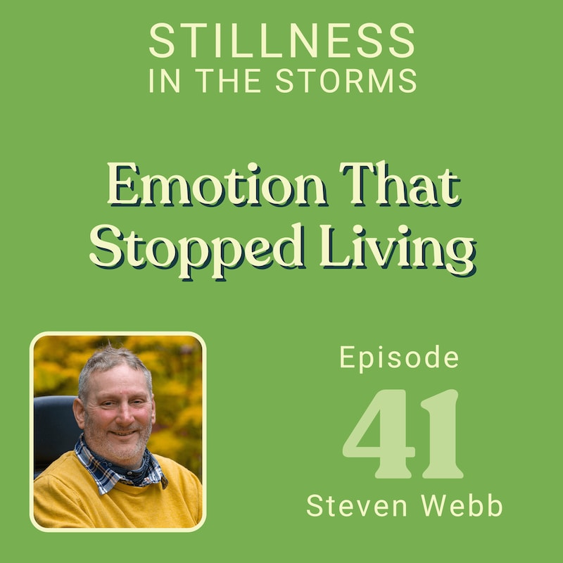 Artwork for podcast Stillness in the Storms