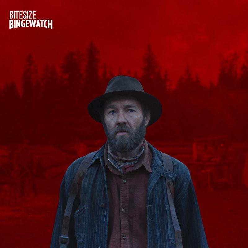 Artwork for podcast Bitesize Bingewatch