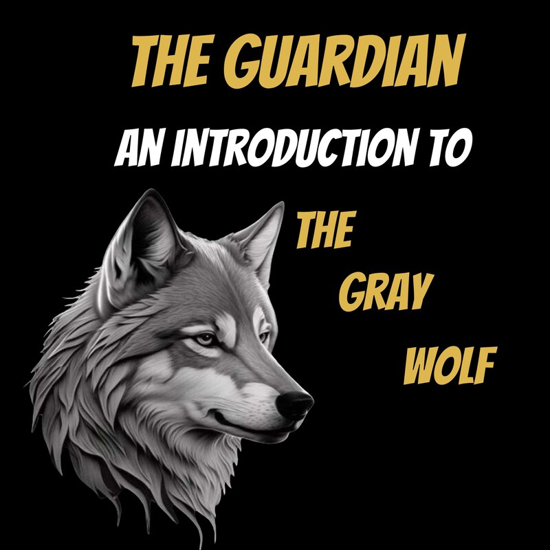 Artwork for podcast The Guardian Academy