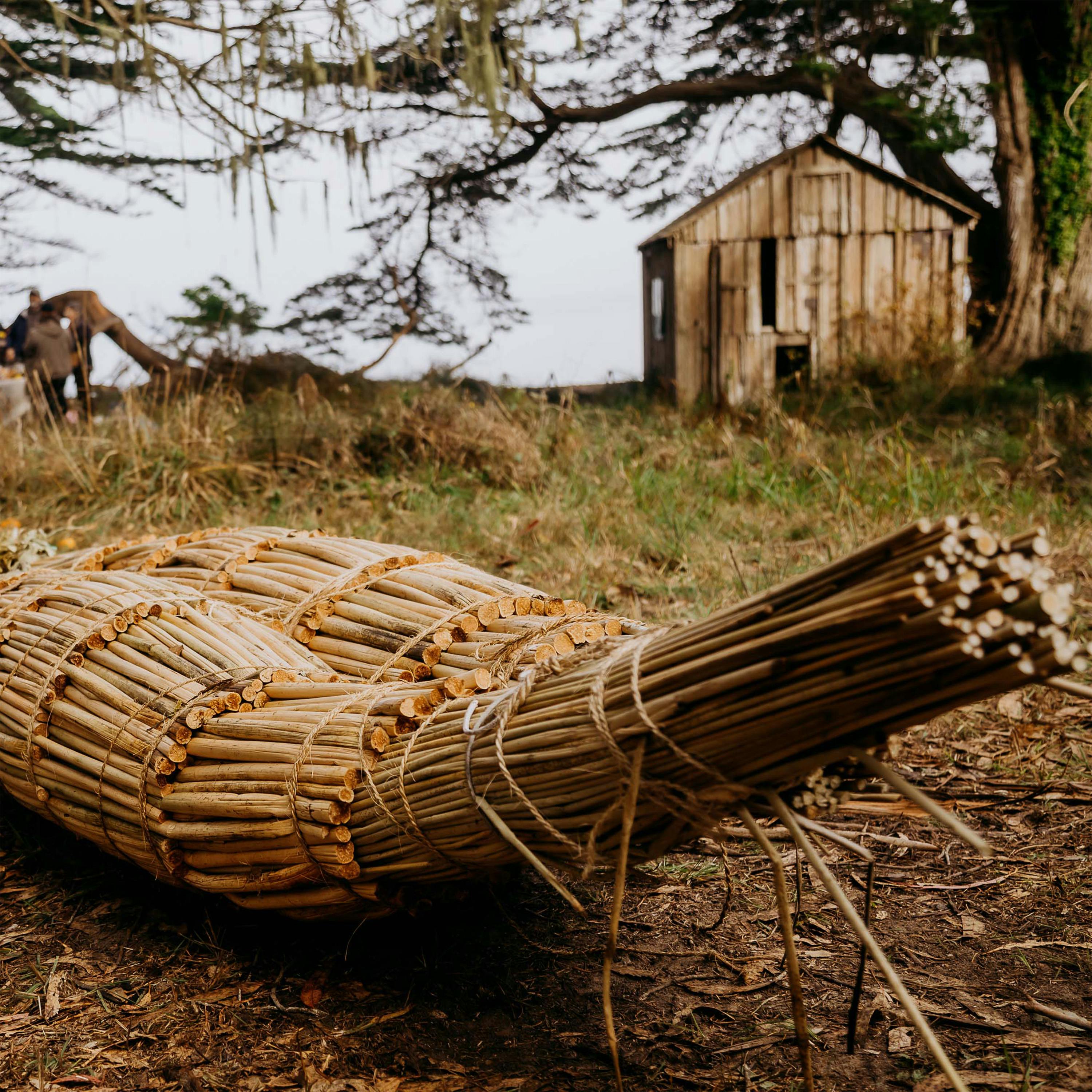 Coming Home to the Cove: A Story of Family, Memory, and Stolen Land – Episode 4