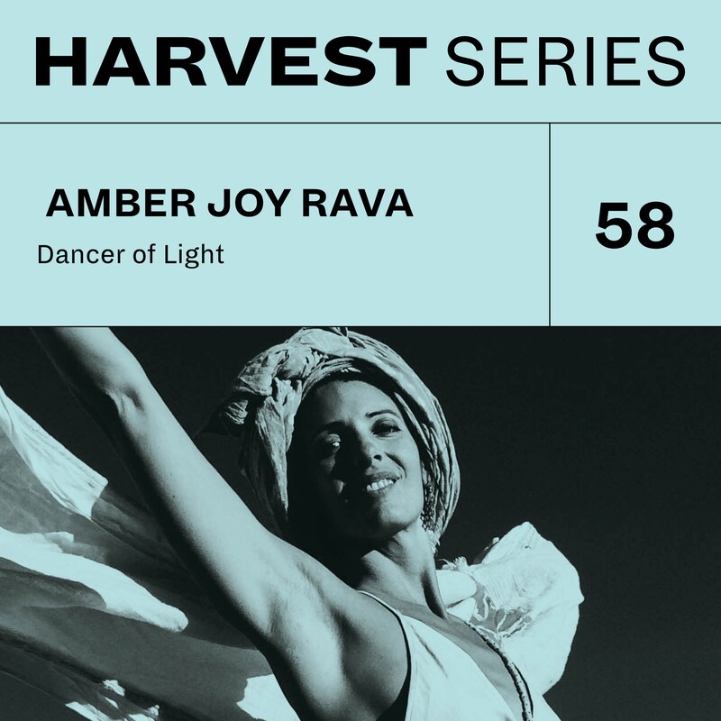 Artwork for podcast Harvest Series