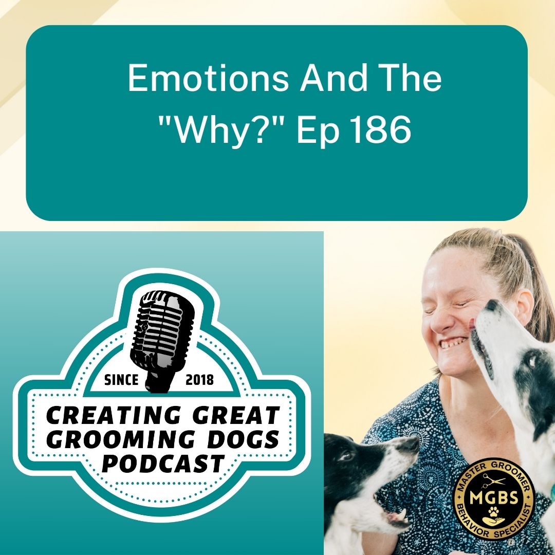 Creating Great Grooming Dogs