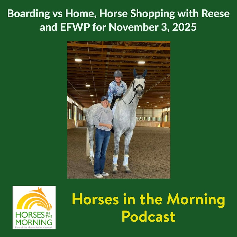 Artwork for podcast HORSES IN THE MORNING