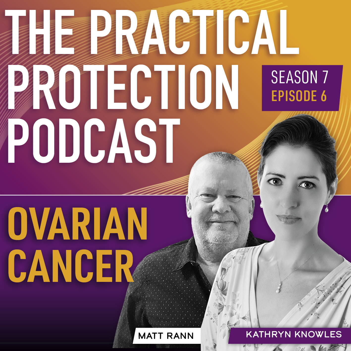 The Practical Protection Podcast