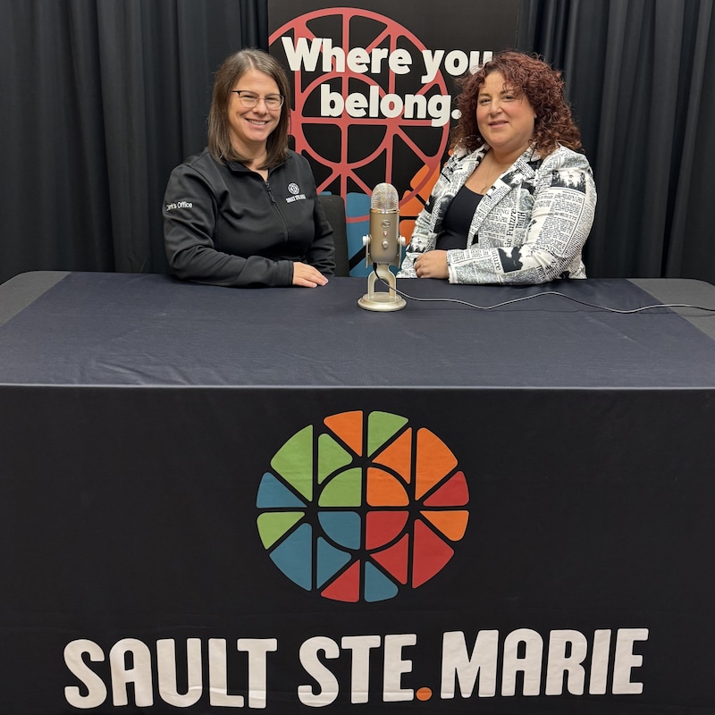 Artwork for podcast Where You Belong.