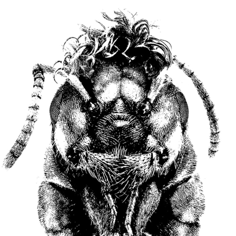 Artwork for podcast GOMBAPRESSZÓ