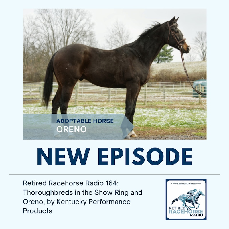 Artwork for podcast Retired Racehorse Radio
