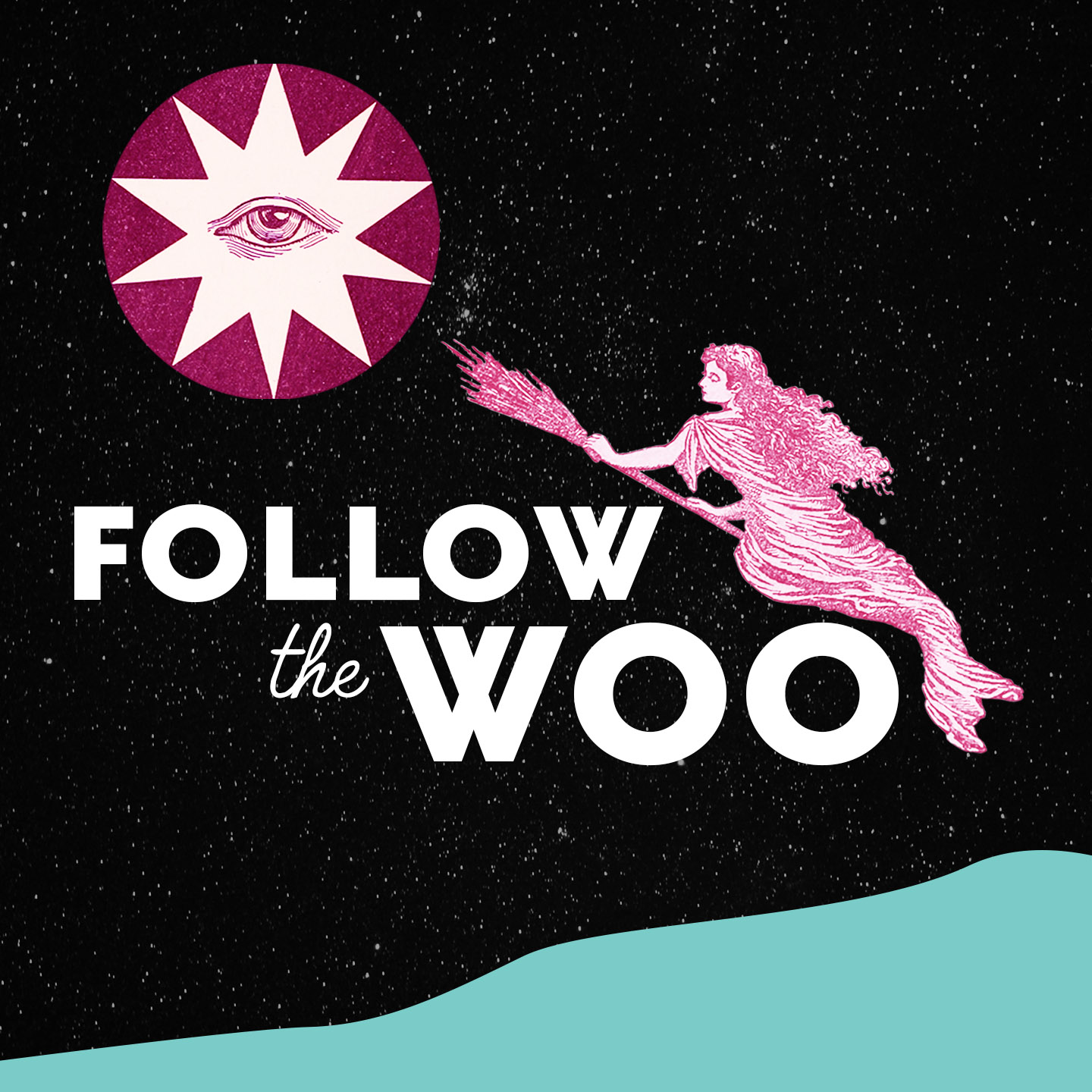 Show artwork for Follow the Woo