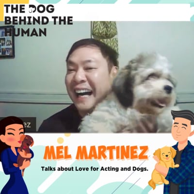 Artwork for podcast The Dog Behind The Human