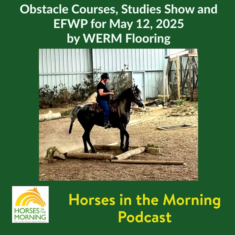 Artwork for podcast HORSES IN THE MORNING