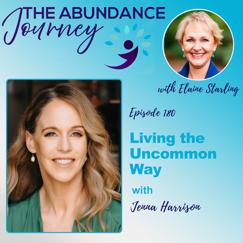 Artwork for podcast The Abundance Journey: Accelerating Revenue With An Abundance Mindset