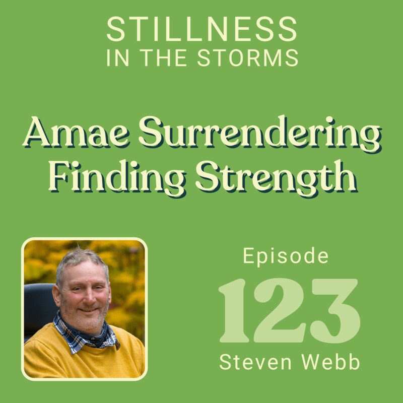Artwork for podcast Stillness in the Storms
