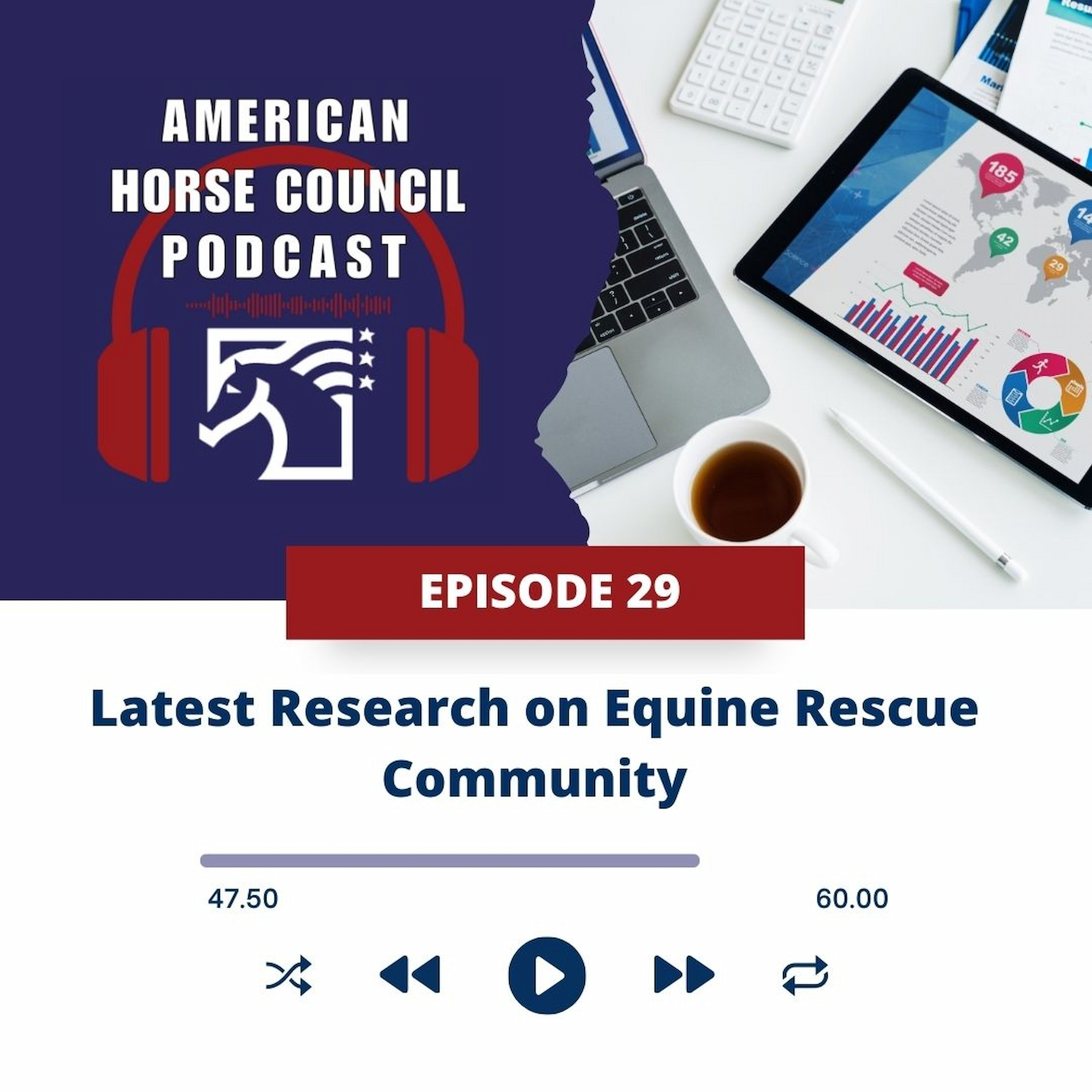 AHC:  Latest Research on the Equine Rescue Community episode artwork