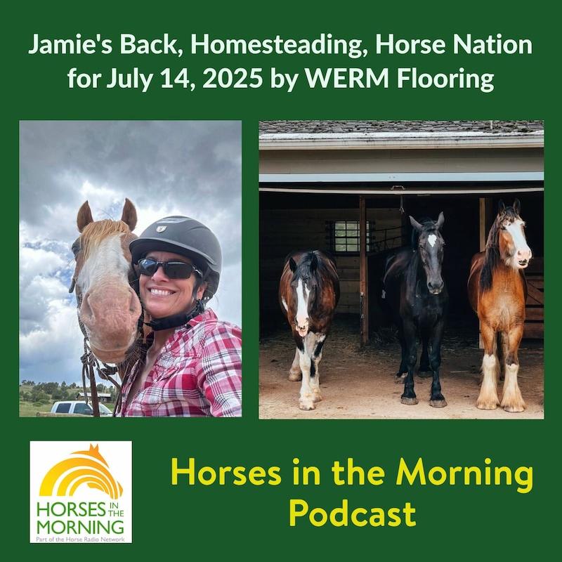 Artwork for podcast Horses in the Morning