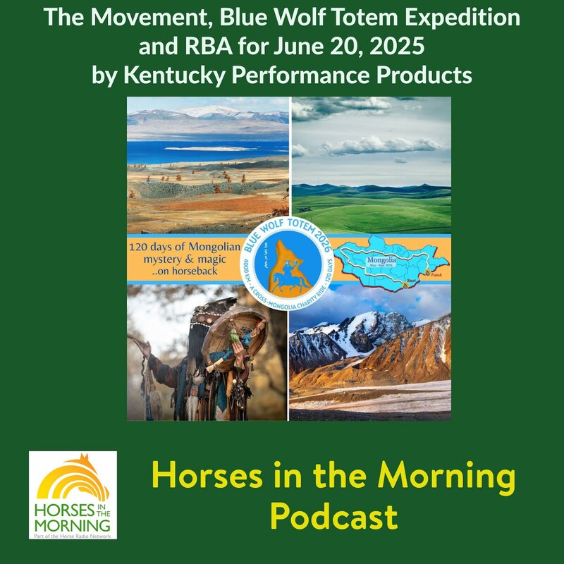 Artwork for podcast Horses in the Morning