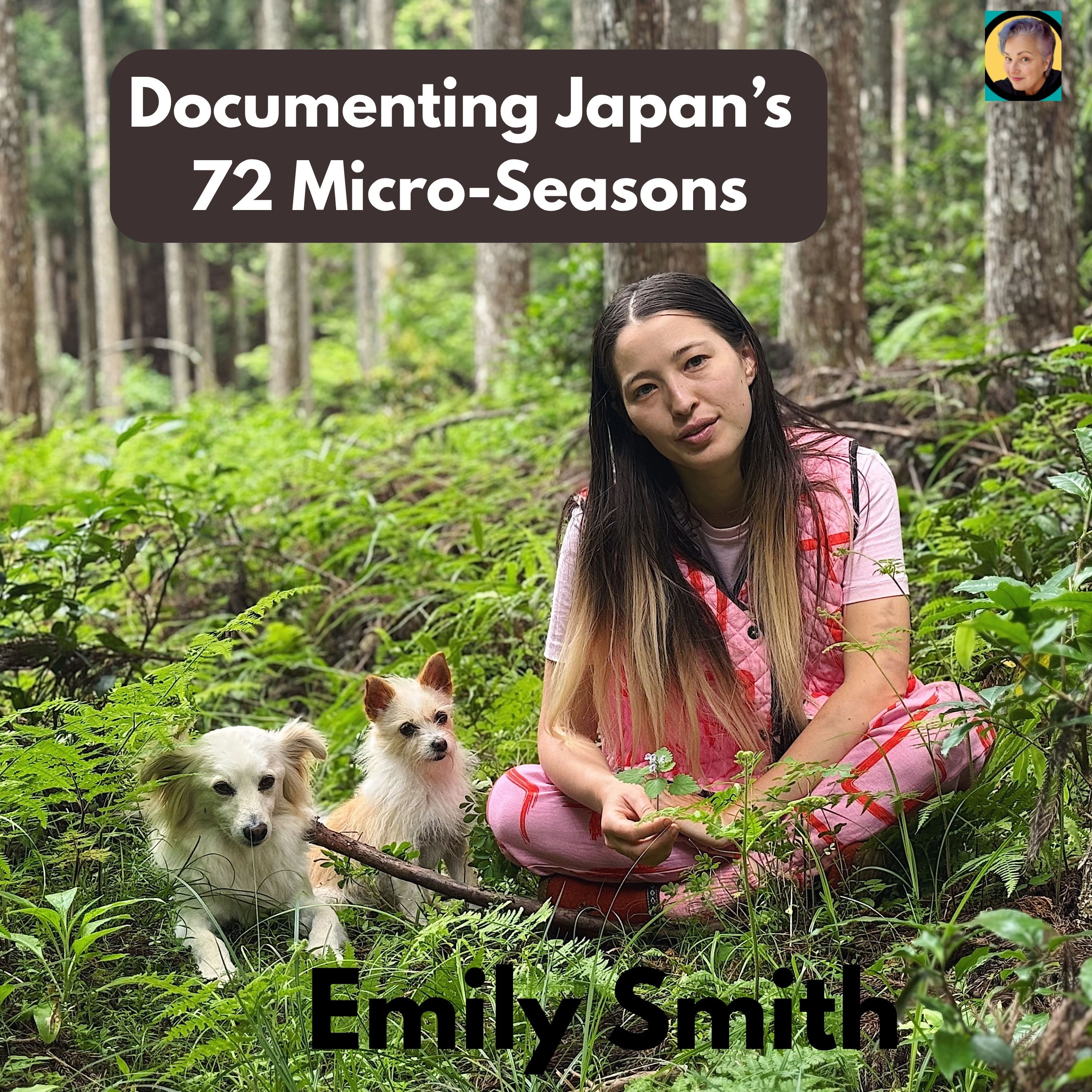 Rural Japan Forest Foraging & Documenting Japan's 72 Microseasons | Emily Smith episode artwork