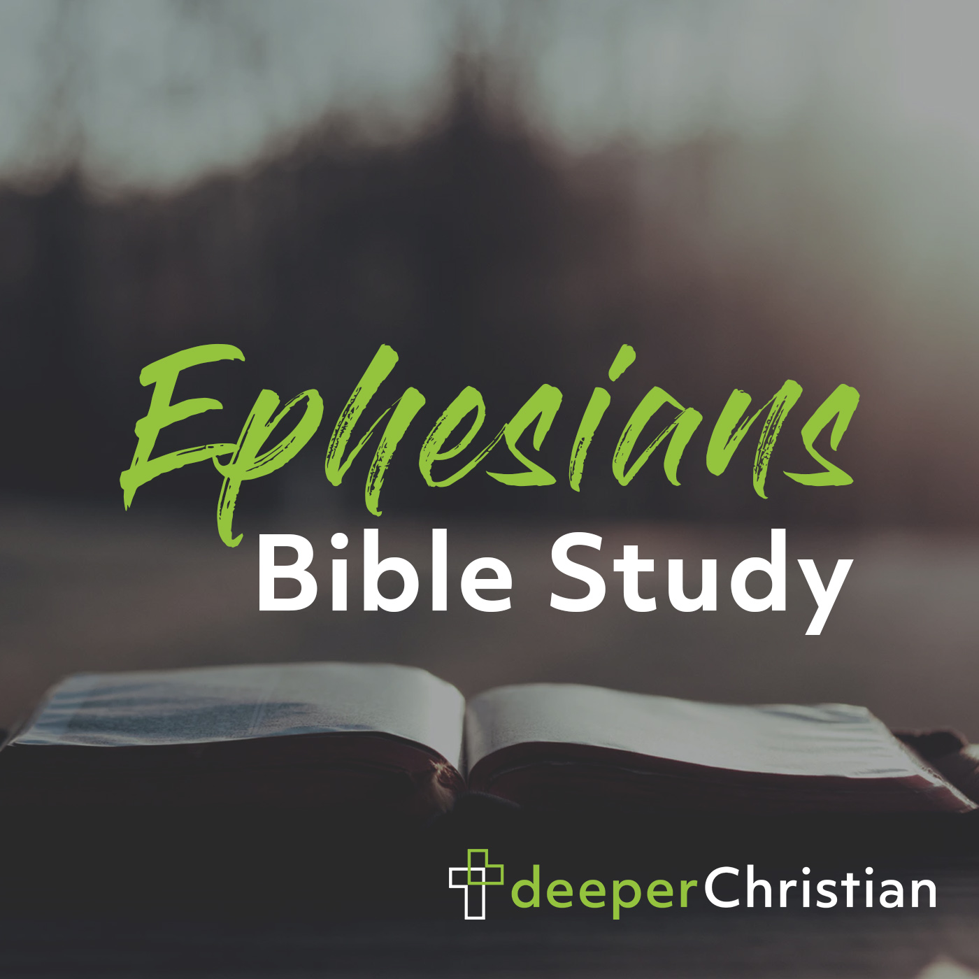 Artwork for podcast Deeper Christian Bible Study in Ephesians