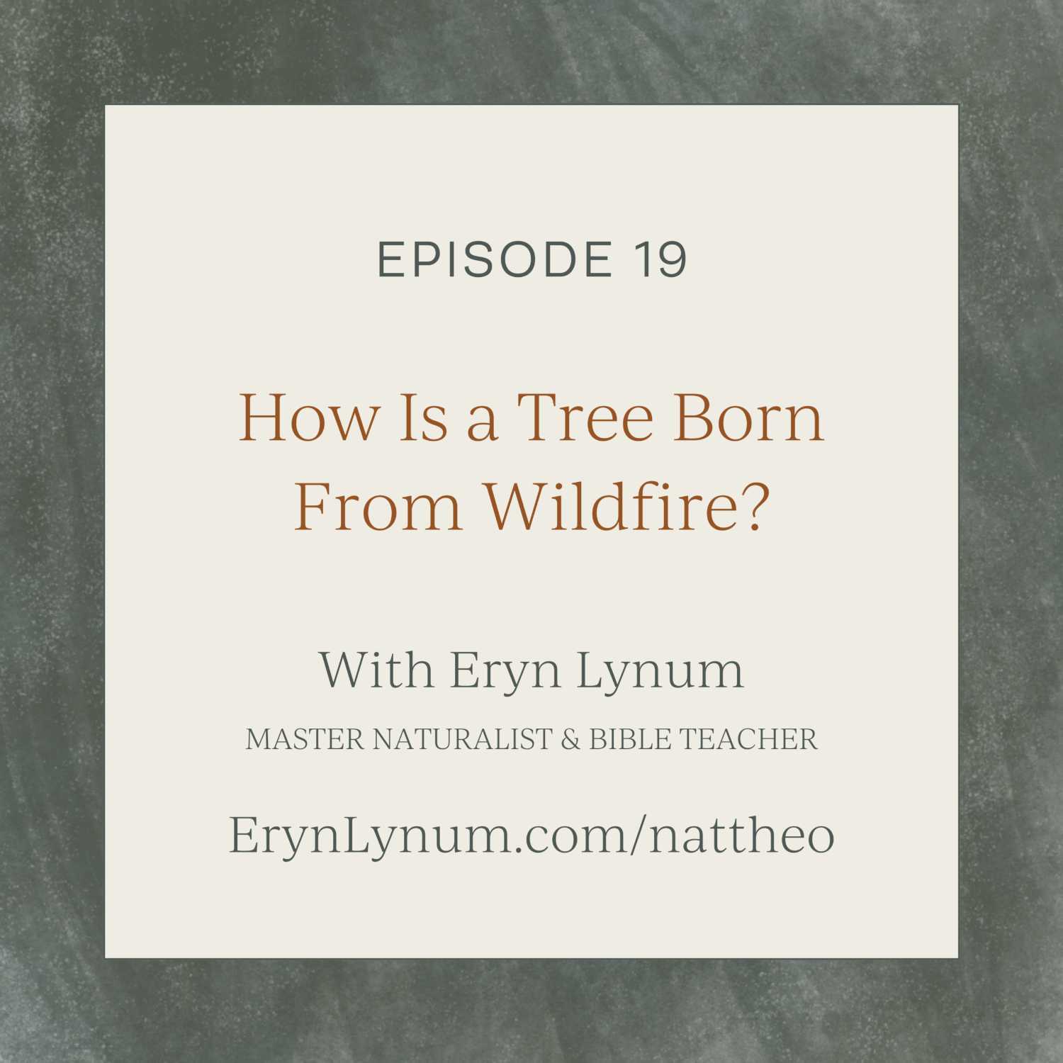 How Is a Tree Born From Wildfire? Episode 19