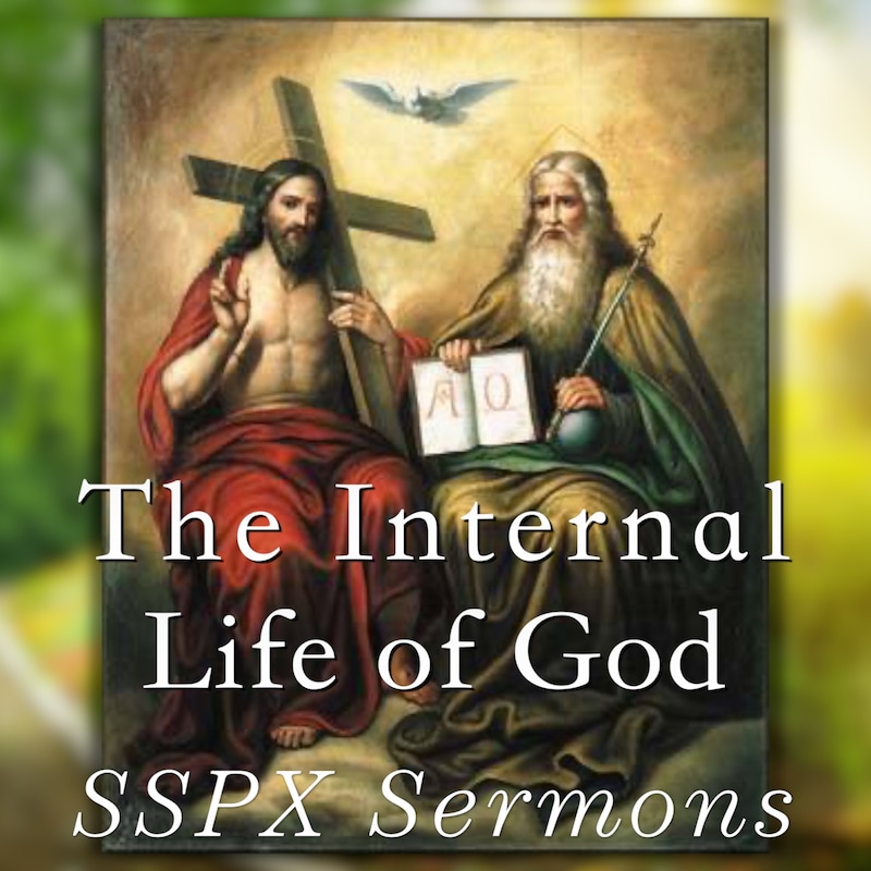Artwork for podcast SSPX Sermons