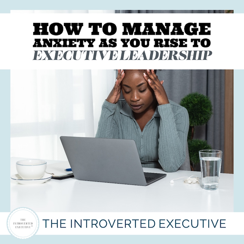 Artwork for podcast The Introverted Executive