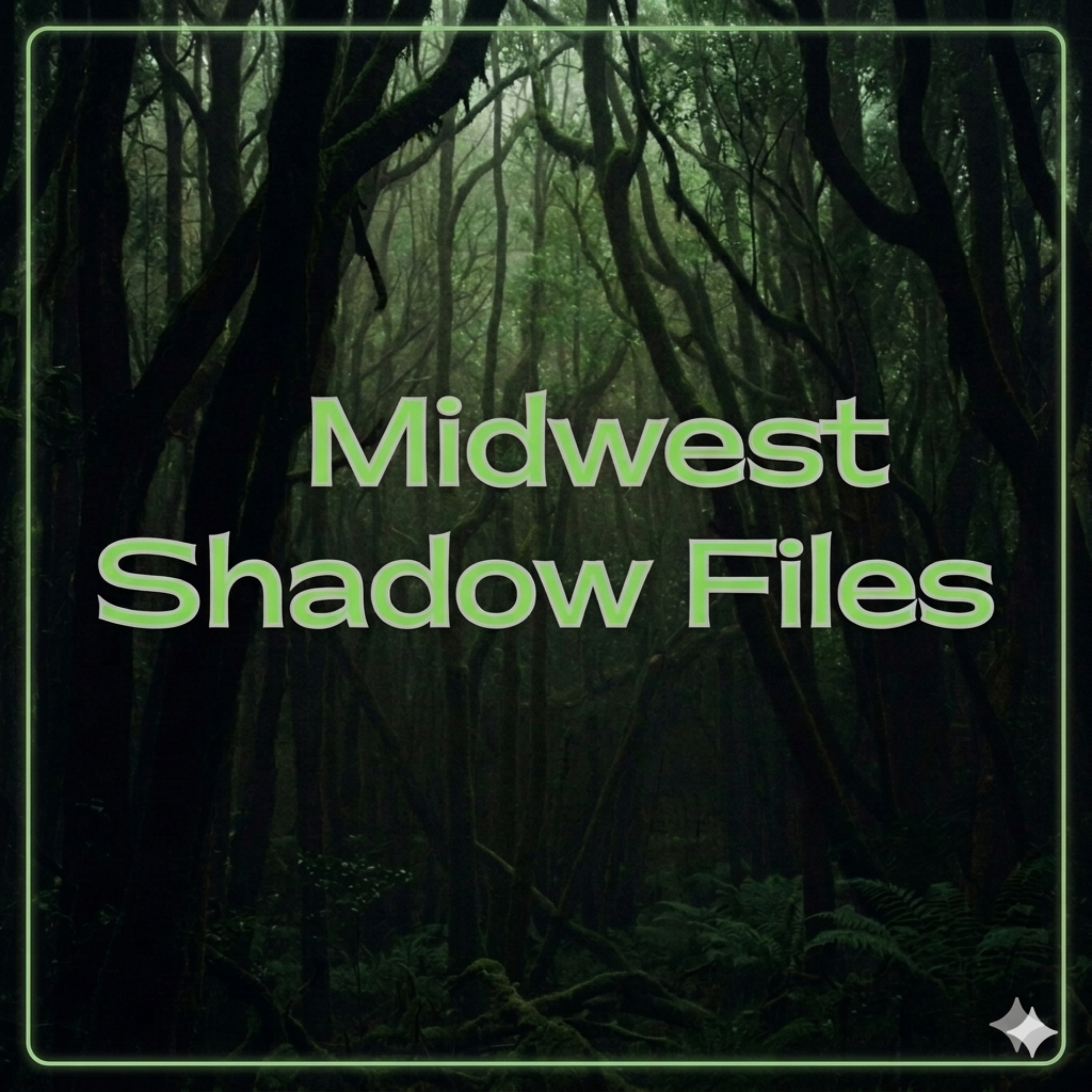 Show artwork for Midwest Shadow Files