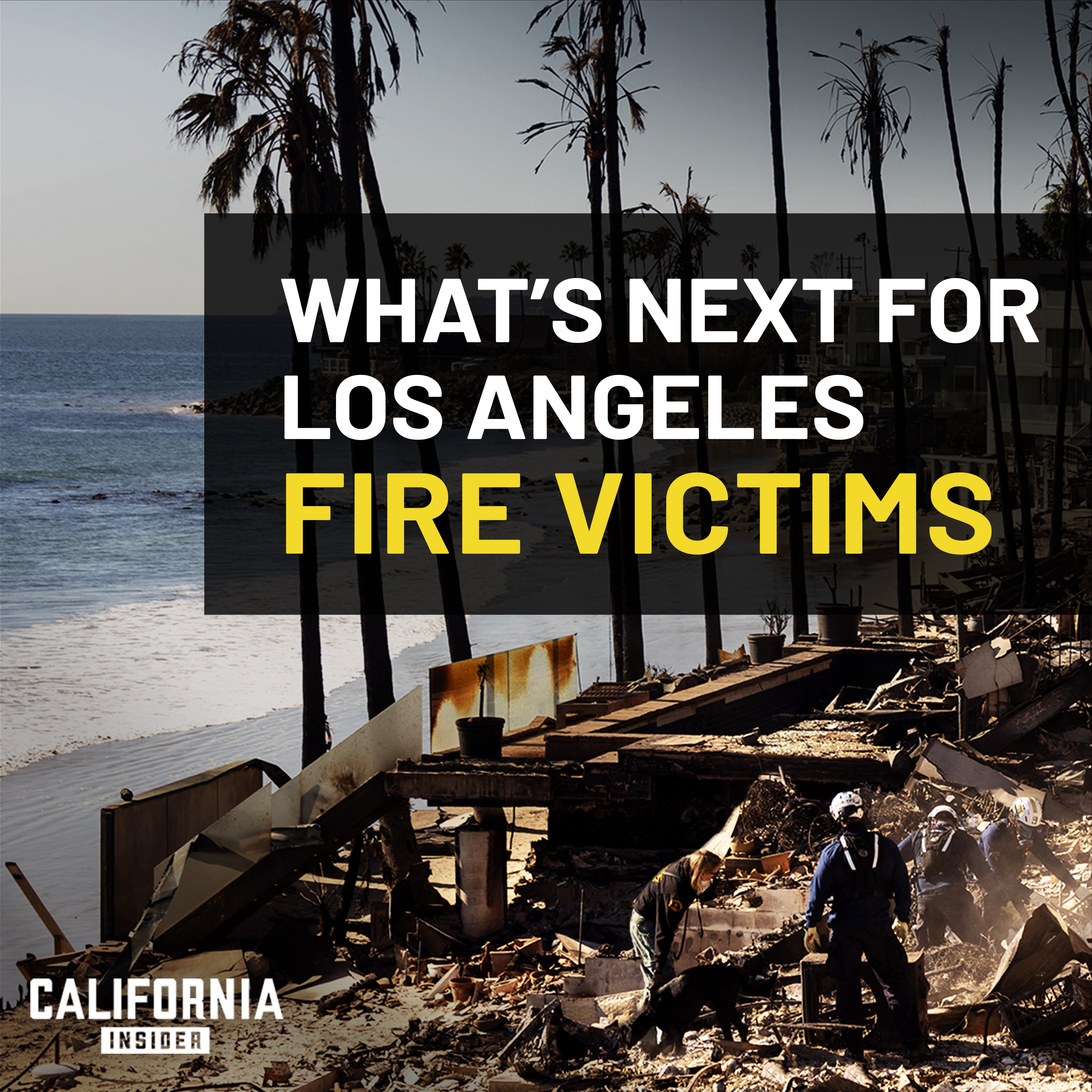 LA Representatives Explain Little-Known Steps for Cleanup and Recovery | Ben Allen | Jacqui Irwin | Sasha Renée Pérez