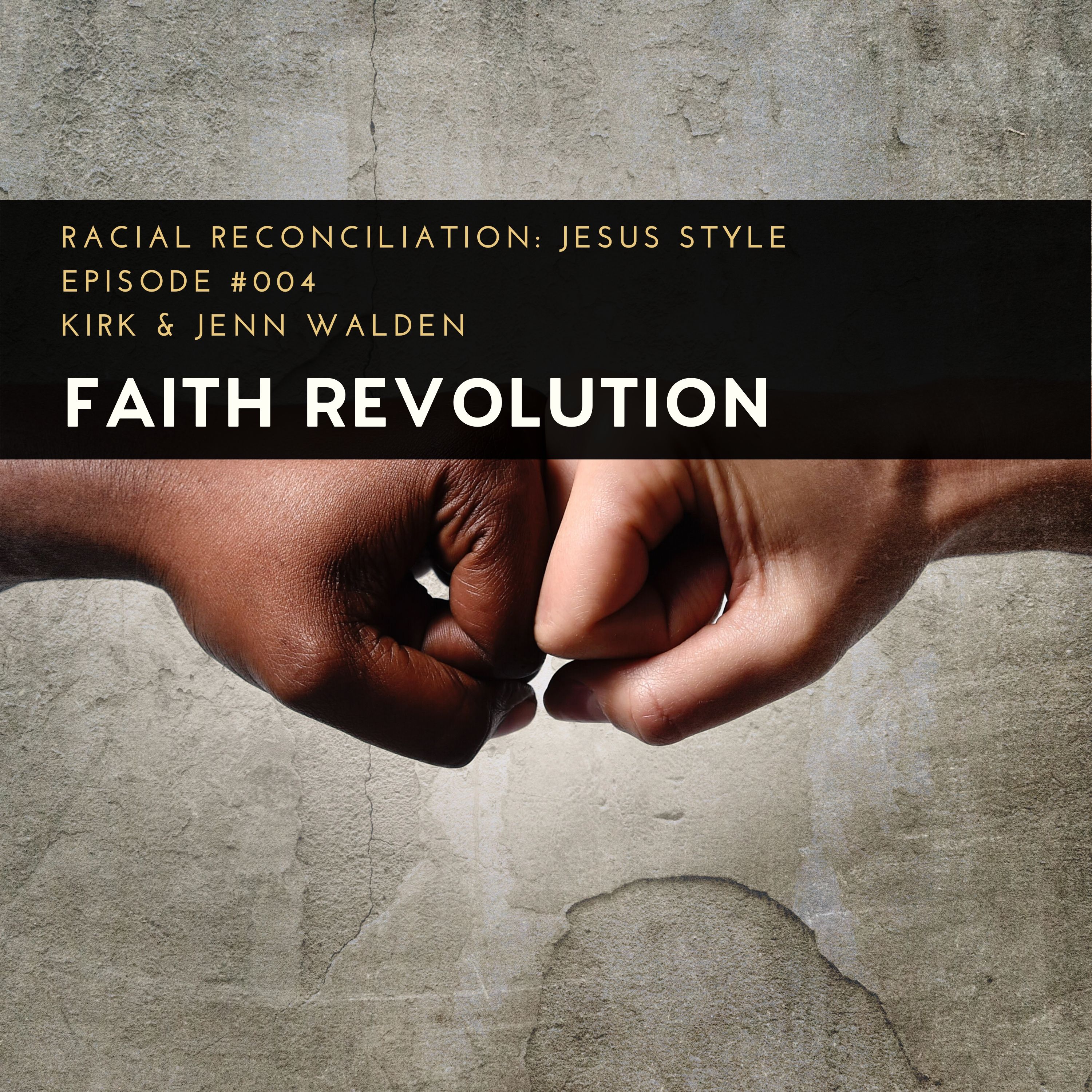 Artwork for podcast The Faith Revolution Podcast