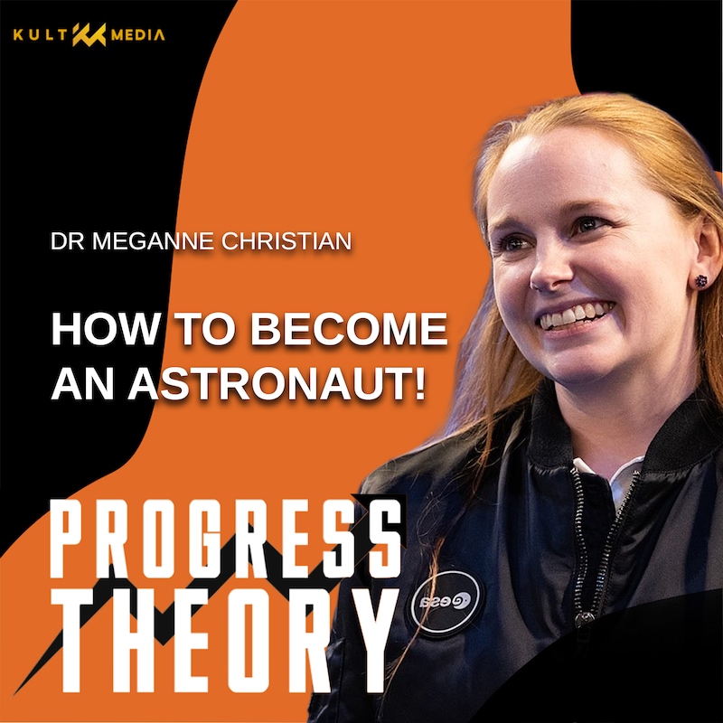 Artwork for podcast The Progress Theory