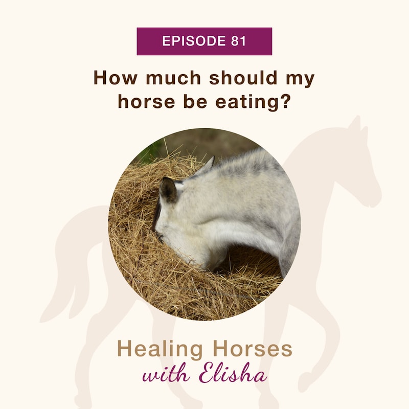 Artwork for podcast Healing Horses with Elisha
