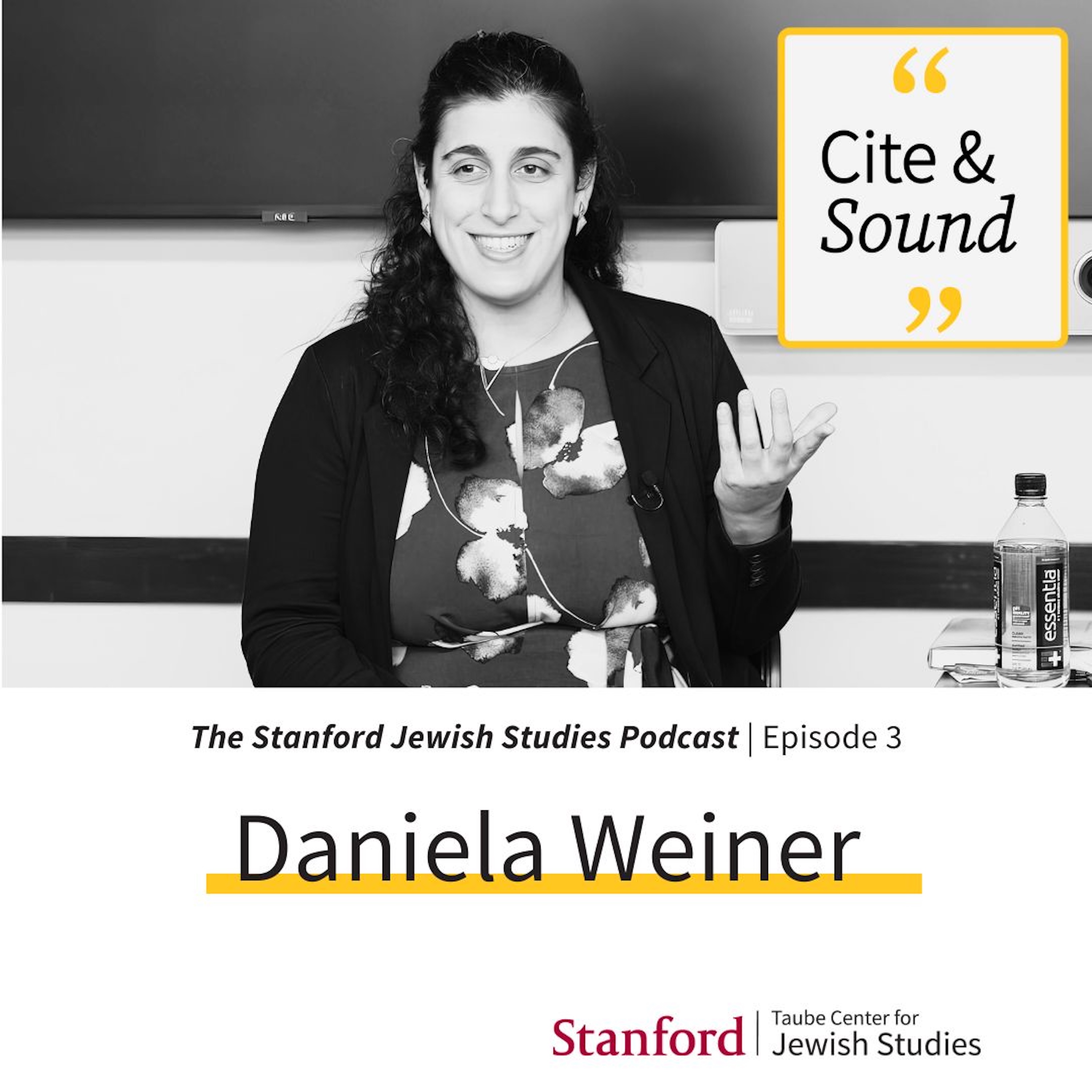 Cite and Sound: Daniela Weiner & Ari Kelman episode artwork