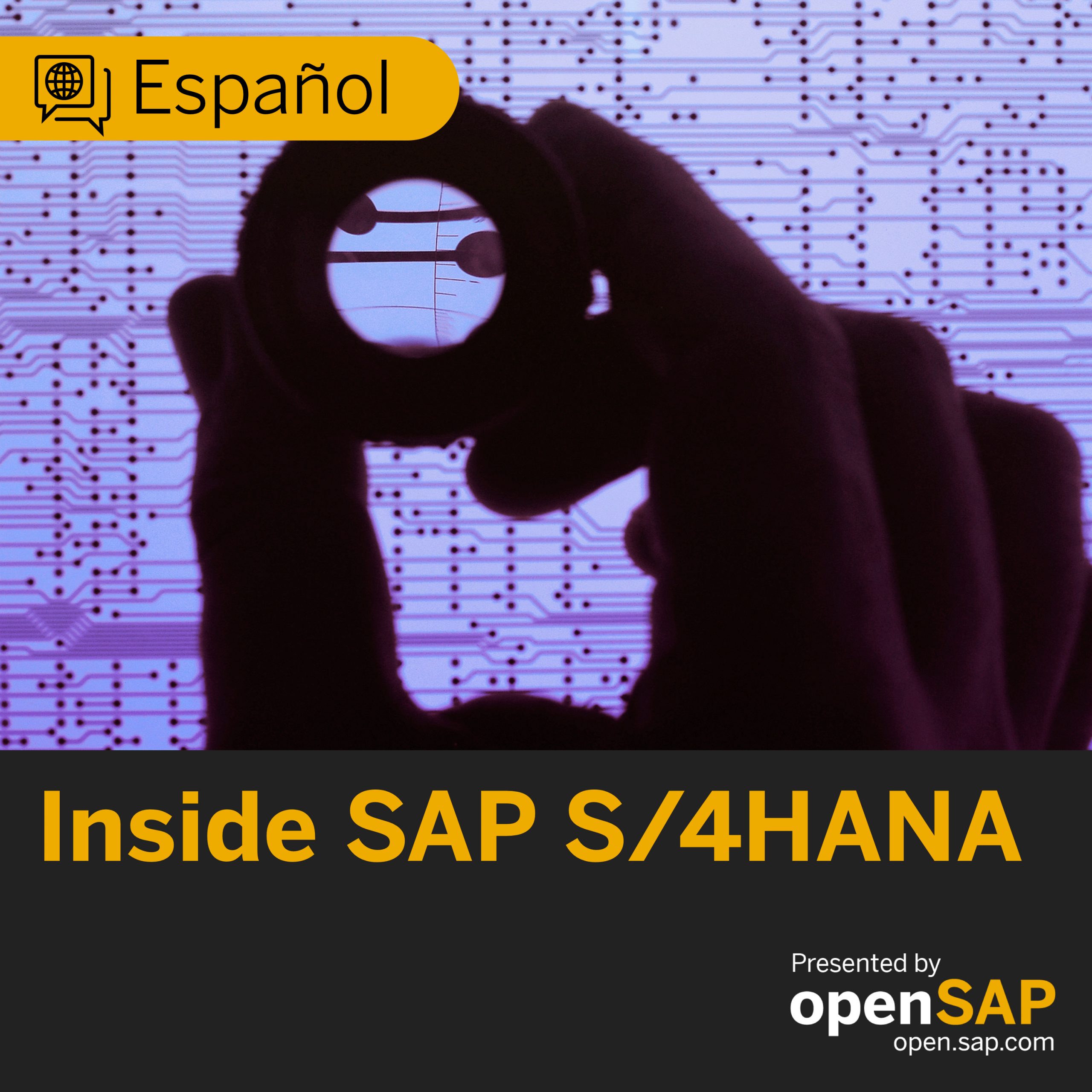 Episodio ES 07: RIG - El camino a SAP S/4HANA a través de la conversión: Deploy & Run episode artwork