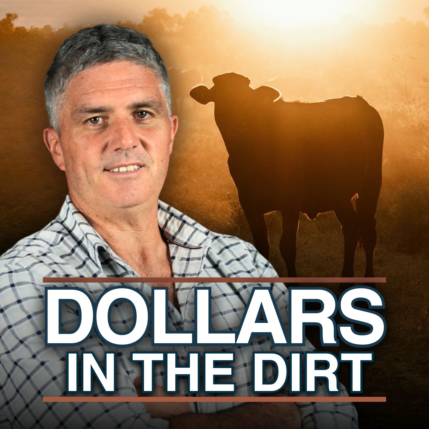 Dollars In The Dirt