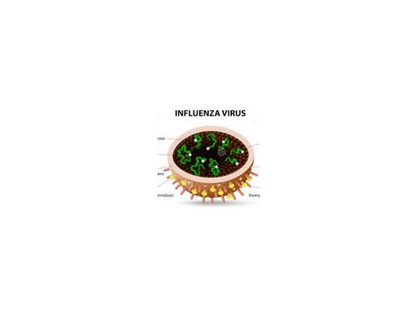 Do Not get the 2015-16 Flu Vaccine:  until you hear THIS episode artwork