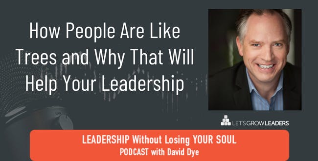 How People Are Like Trees and Why That Will Help Your Leadership