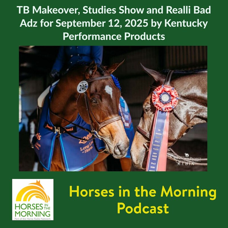 Artwork for podcast HORSES IN THE MORNING