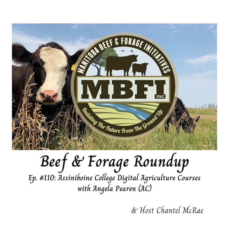 Artwork for podcast Beef and Forage Roundup