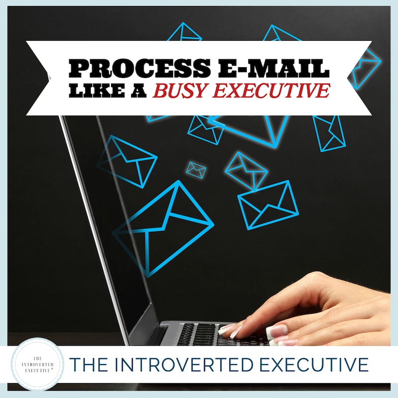 Artwork for podcast The Introverted Executive