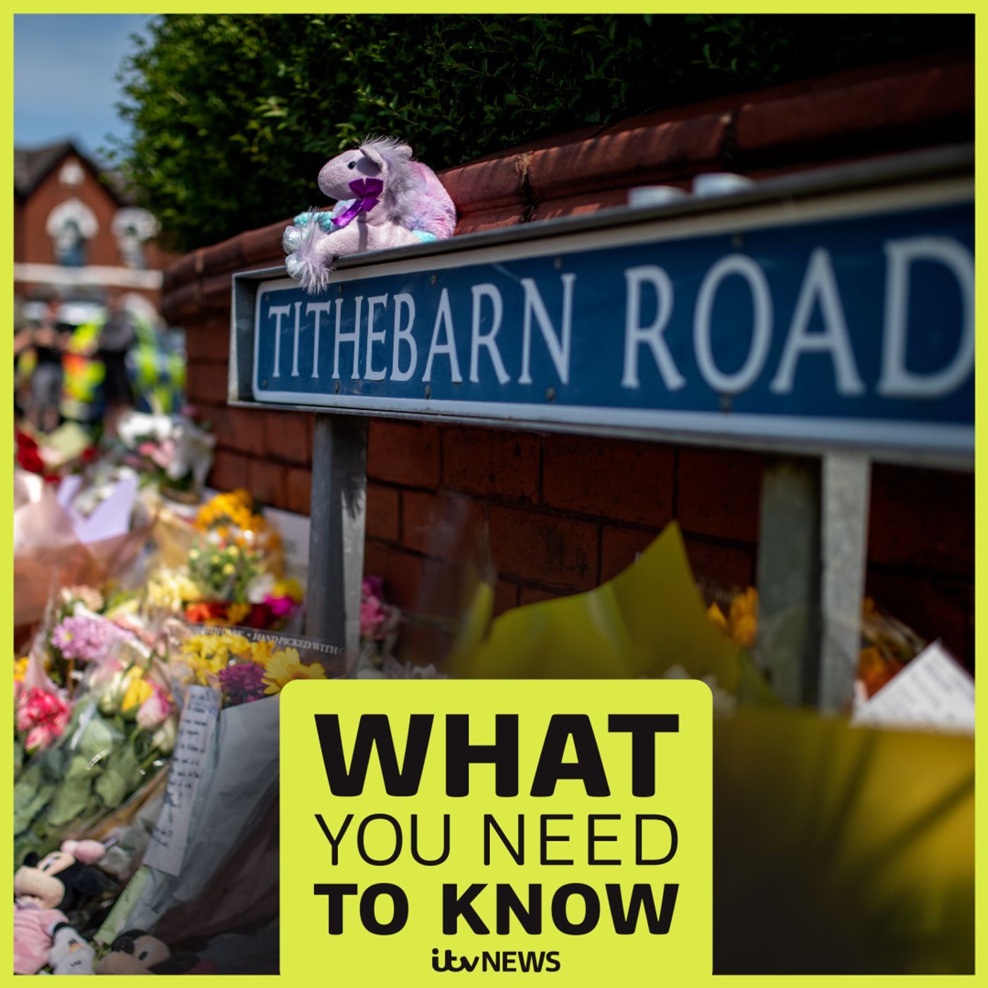 What the Southport Inquiry is for and the horror a teen victim described