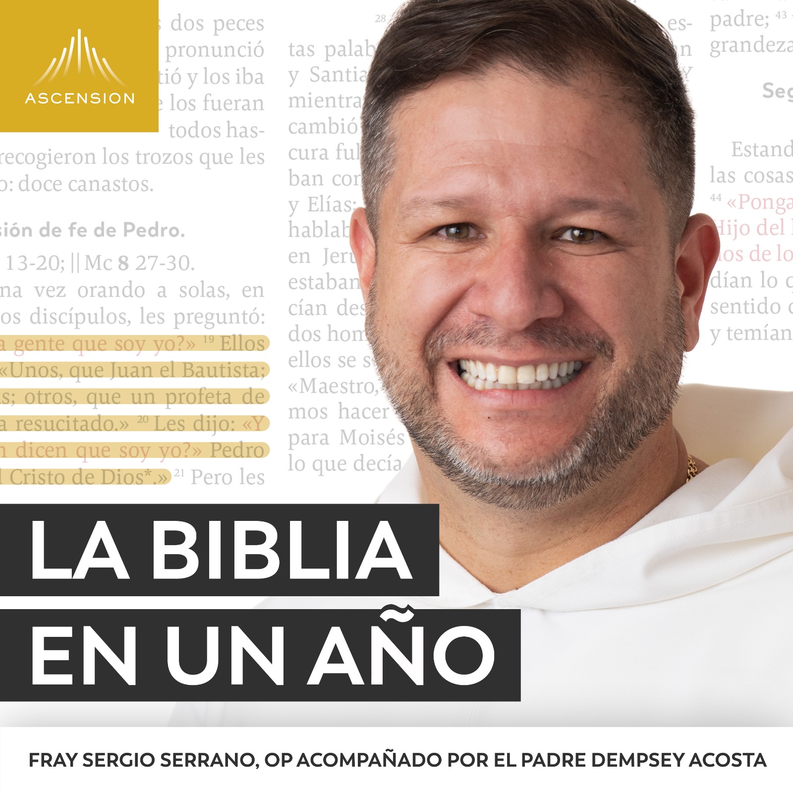 Artwork for podcast La Biblia en un Año (con Fray Sergio Serrano, OP)