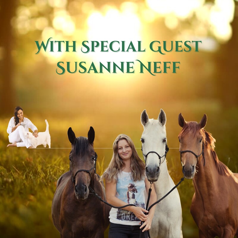 Artwork for podcast Accepting Your Sensitivity