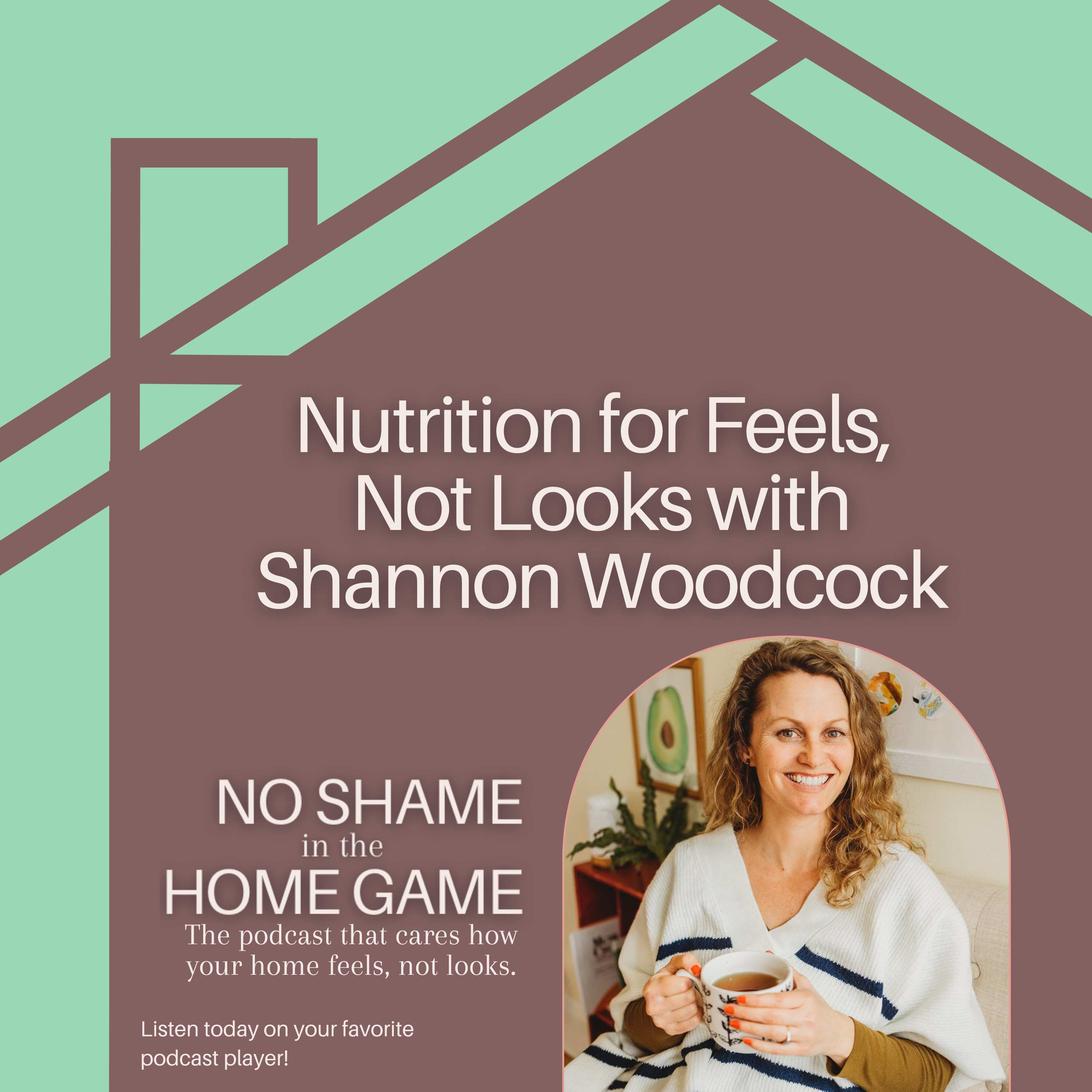 Artwork for No Shame in Our Game