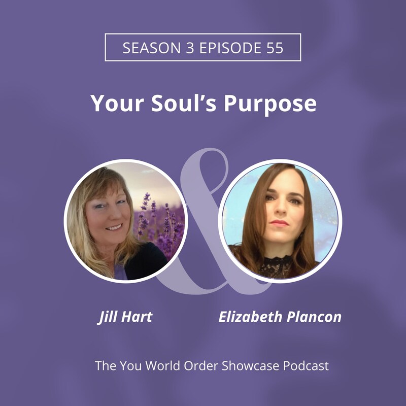 Artwork for podcast The You World Order Showcase Podcast
